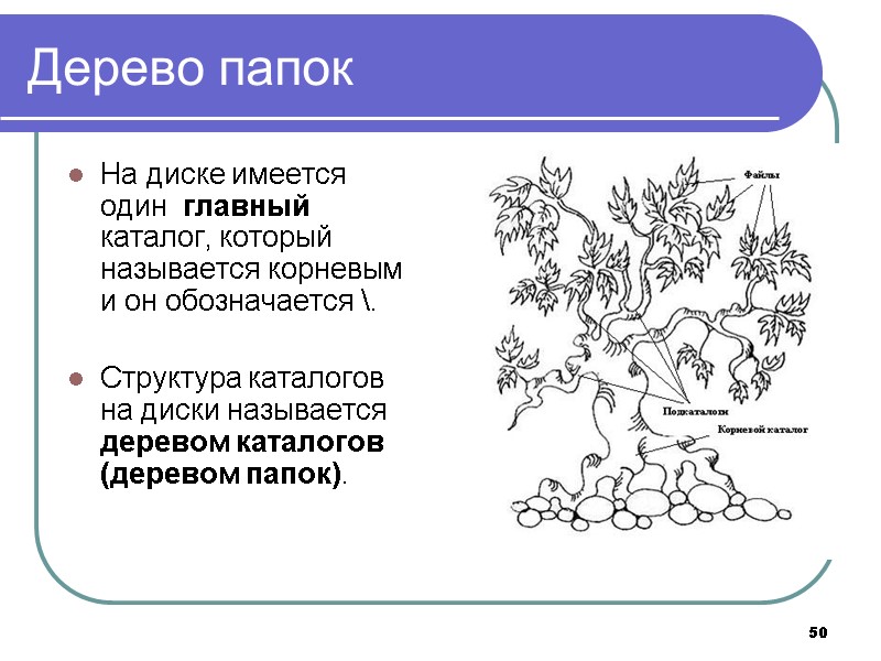 50 Дерево папок На диске имеется один главный каталог, который называется корневым и 50 Дерево папок На диске имеется один главный каталог, который называется корневым и
